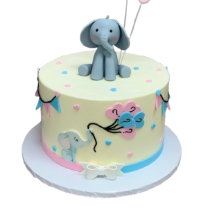 Single Elephant Reveal Cake