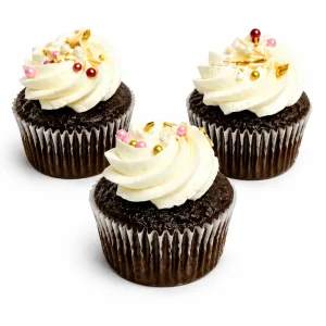 Chocolate Cupcakes
