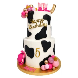 2 Tier Cowboy Theme Cake